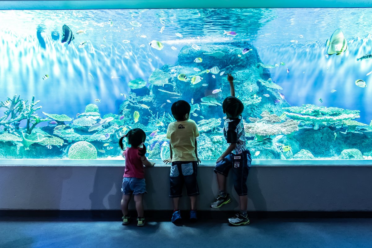 しながわ水族館で遊ぶ子ども達