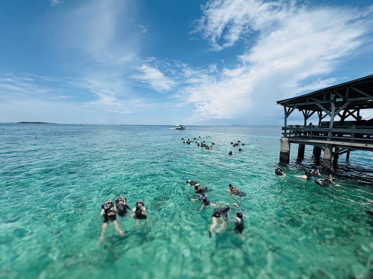 セブ島でのシュノーケリングの様子