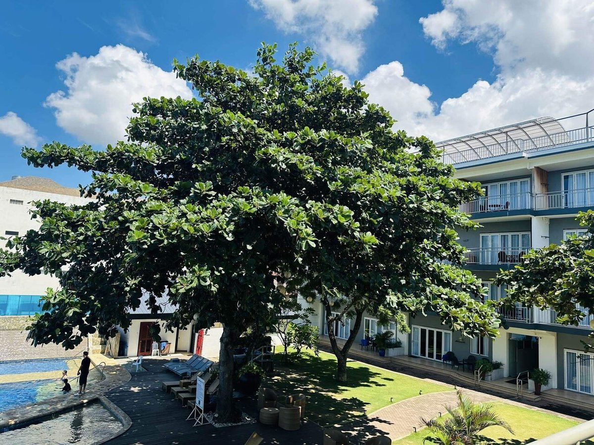 「セブ島ジュニアビジネス留学サマーキャンプ」で滞在したホテル