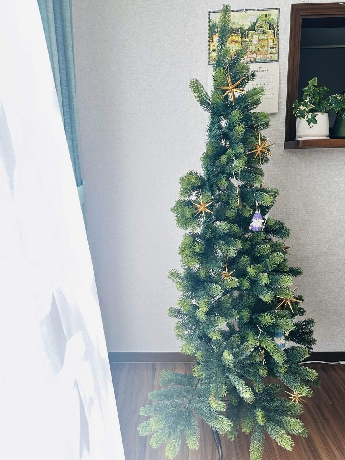 我が家のハーフツリー