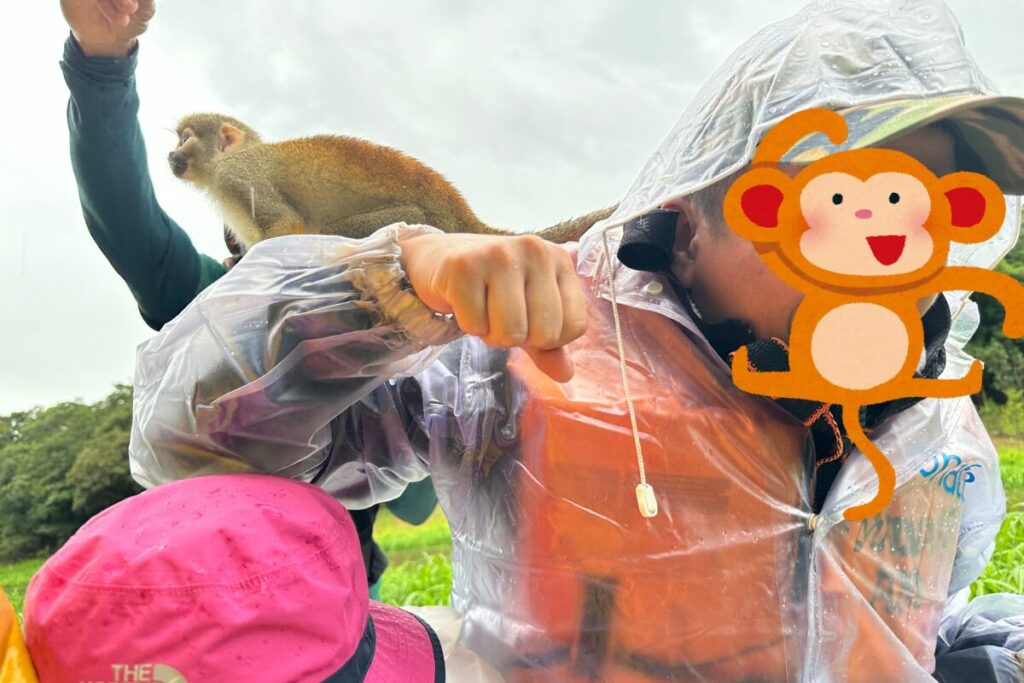 サルに近寄られる家族